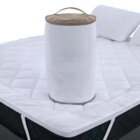 Imagem da promoção Pillow Top Casal Extra Macio Toque de Pluma em Fibra Siliconada 600g/m2 138x188cm BF Colchões