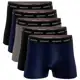 Kit 5 Cuecas Boxer Sandrini Algodão Adulto Masculinas Elastano Original cueca box Promoção em oferta