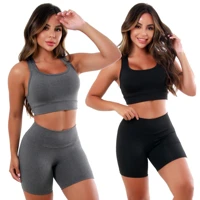 Imagem da promoção Kit 2 Conjunto Short E Top Roupas Femininas Para Academia Suplex