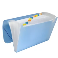 Imagem da promoção Pasta Sanfonada Plastica A4 12 Divisões Cores A Escolha ACP