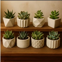 Imagem da promoção Kit 8 Vasinhos de Gesso Decorativo – Cactos e Plantas Artificiais