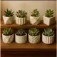 Kit 8 Vasinhos de Gesso Decorativo – Cactos e Plantas Artificiais em oferta