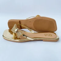 Imagem da promoção Chinelo Rasteirinha Anatômica Confortáve