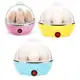 Cozedor Multi Funçoes Eletrico Vapor Cozinhar Ovos Egg Cooker em oferta
